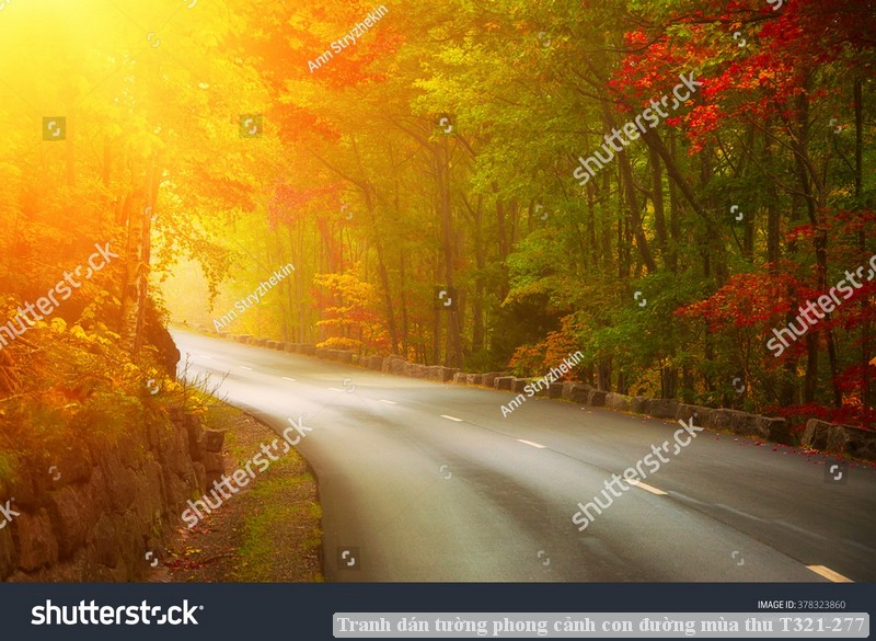 Tranh dán tường phong cảnh con đường mùa thu T321-277